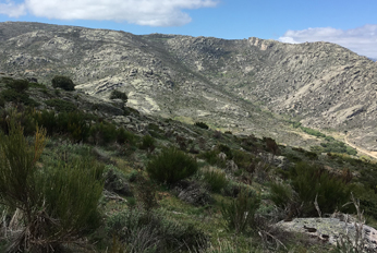 Cartografía de la ocupación del suelo en el Parque Regional de Gredos